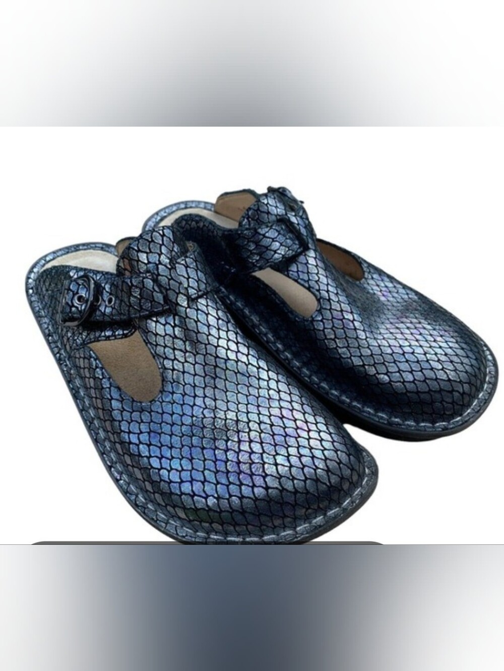 Women's Alegria Snake Pattern Leather upper Slip-on Mules, Size 11